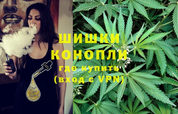 трава Осинники