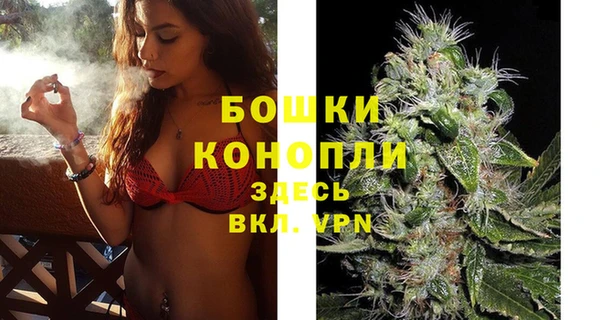 трава Осинники