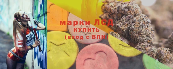 трава Осинники