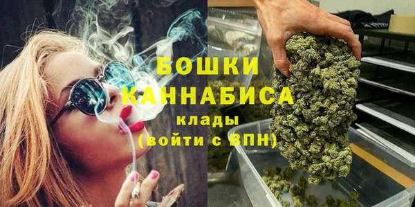 трава Осинники