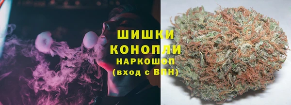 трава Осинники
