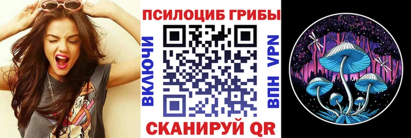 Галлюциногенные грибы мицелий  Ардатов 
